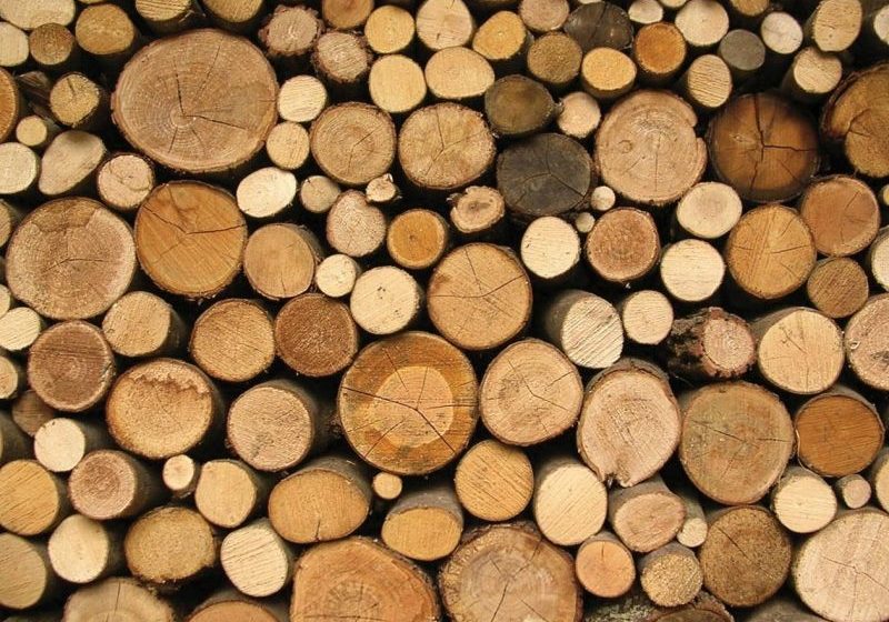  Pardavusieji medieną ar nenukirstą mišką mokestį turi sumokėti iki liepos 15-osios