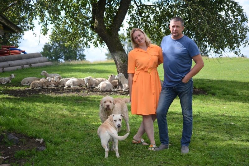  Gyvenimą užsienyje iškeitė į kaimą su avimis