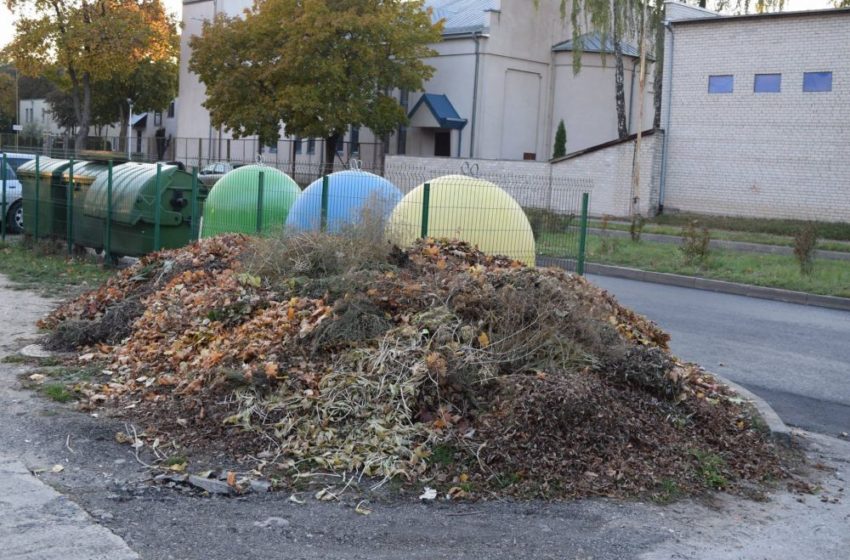  Priešingybė eskaluojamai tvarkai Alytuje