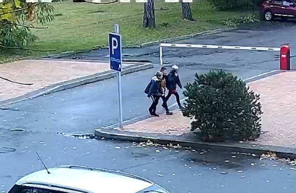  Policija prašo atpažinti šį trejetą (video)