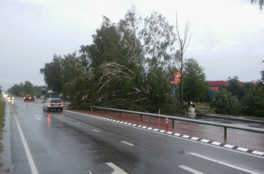  Audros išversti medžiai užtvėrė Alytaus – Daugų kelią (foto)