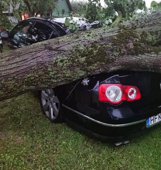  Lazdijų rajone škvalo neatlaikiusi liepa apgadino automobilį