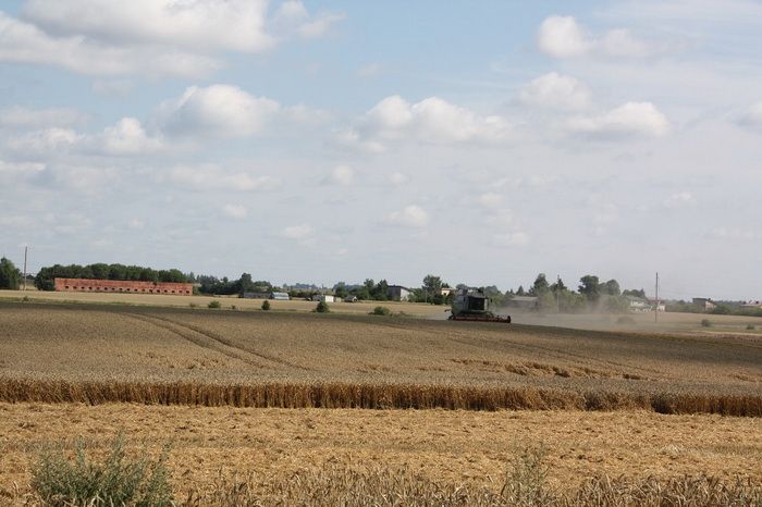  Kombainų gaisrai Alytaus rajono ūkininkų negąsdina