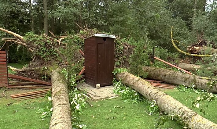  Rimėnuose audros nuversti 6 topoliai sulaužė tvorą, bet tualetą paliko sveiką (video)