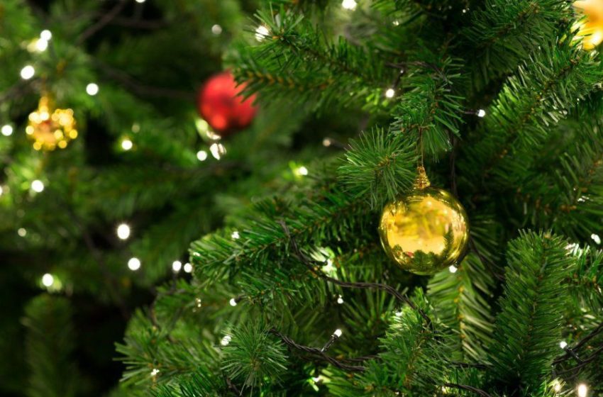  Šį penktadienį Dauguose – šventinis metų palydėtuvių renginys “Kalėdų žvaigždei sužibus”