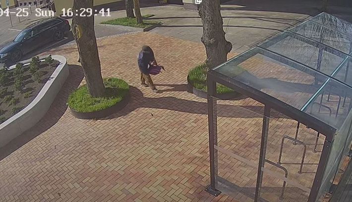  Alytaus policijos pareigūnai ieško skulptūrą pavogusio vyro (video)