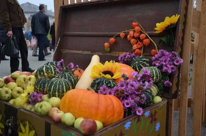  Šį šeštadienį Alytus kviečia į įspūdingą rudens šventę “Dzūkų turtai” (plakatas+video)