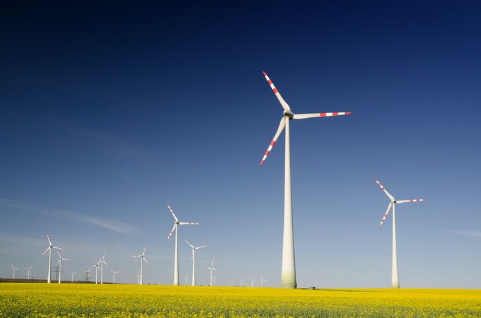  Alytaus rajone planuojamas vėjo jėgainių parkas
