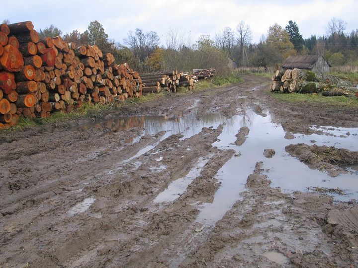  Medienos tvarkytojai gali patirti nemalonių išlaidų