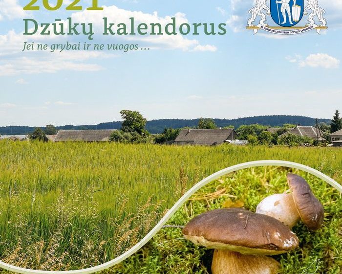  Dzūkiškas kalendorius, atveriantis grybavimo slėpinio gelmes (foto)