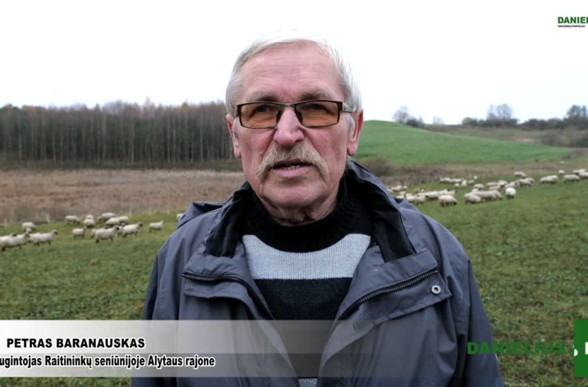  Petras Baranauskas: “vilkai jei puola avis, tai nieko nepadarysi” (video)