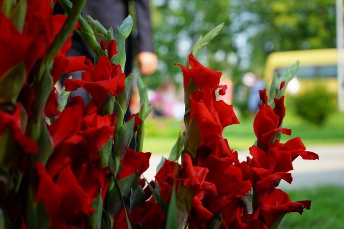  Alytaus rajone šimtukų daugiau, dauguma egzaminų laikyta geriau