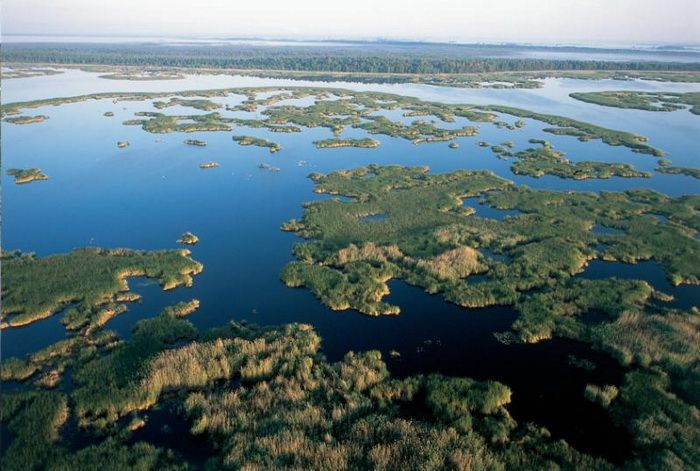  Atsinaujinęs Žuvinto biosferos rezervato Lankytojų centras kviečia iš arčiau pažvelgti į unikalų natūralios gamtos pasaulį