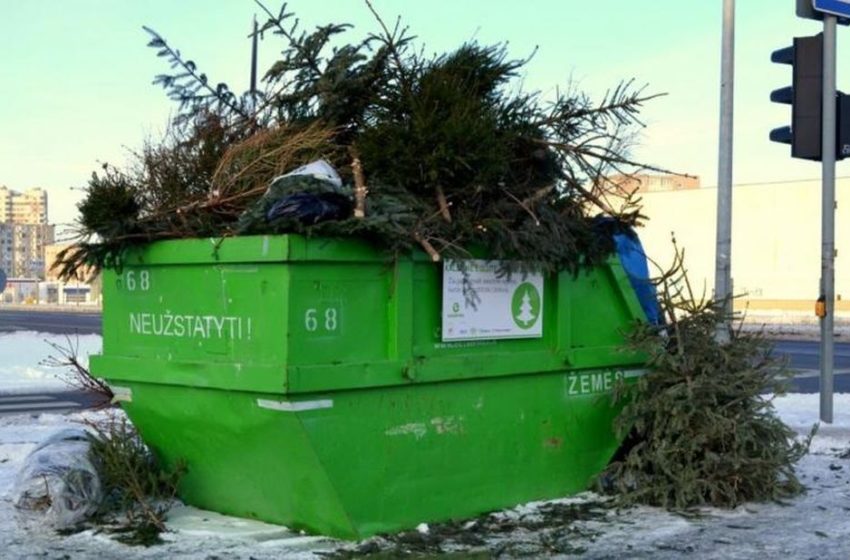  Kalėdų eglutė: gražiai buvo puošta, tegu nebus bet kaip išmesta!