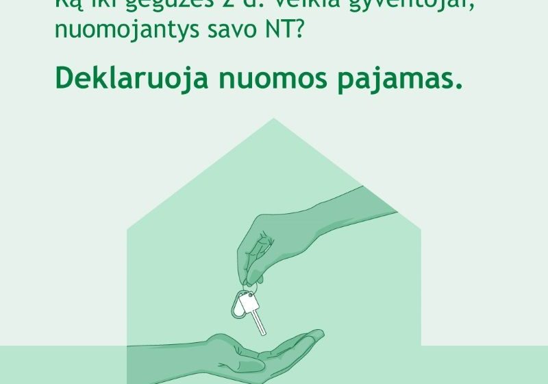  Alytaus apskrities gyventojai jau deklaravo daugiau nei 2 mln. eurų NT nuomos pajamų