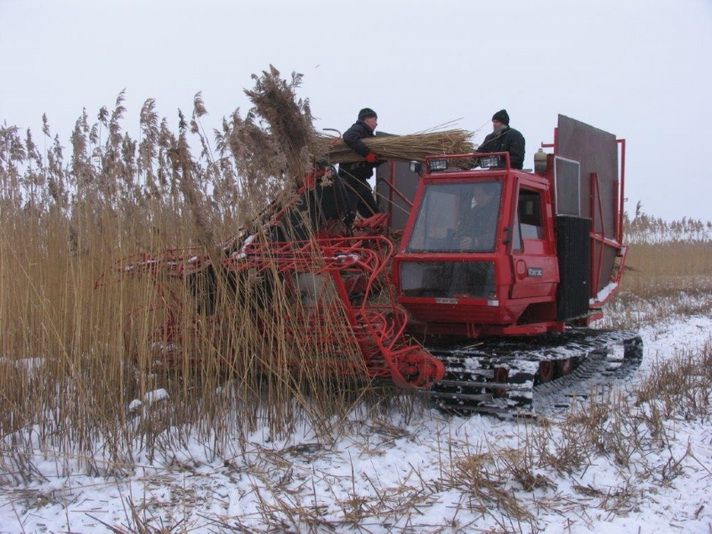  Alytaus rajonui pasiūlyta šildymui naudoti Žuvinto biosferos rezervato pelkėse šienaujamą augaliją