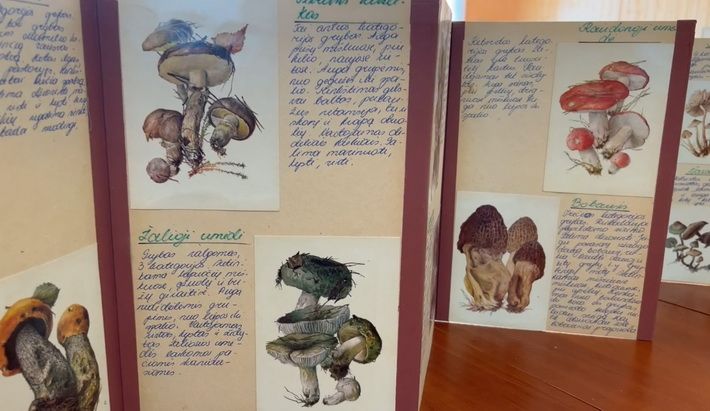  Kibyšiuose, minint Pasaulinę Žemės dieną, eksponuojama Druskininkų mokinių darbai gamtos tematika (foto)