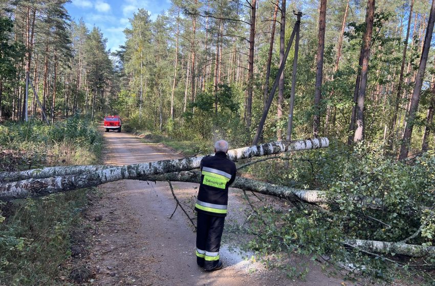  Alytaus ir Varėnos rajonų ribą paženklino nuvirtę medžiai