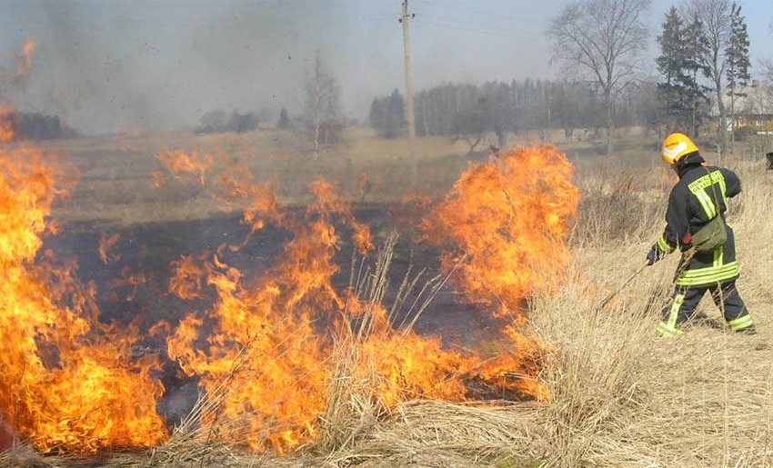  Už žolės deginimą – bauda ir žalos gamtai atlyginimas