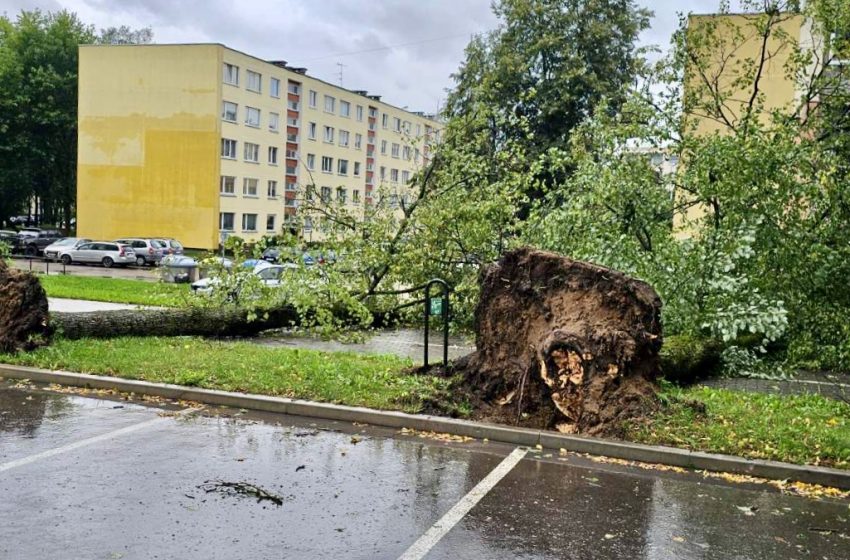  Alytuje šalinami smarkaus vėjo ir liūties sukelti padariniai