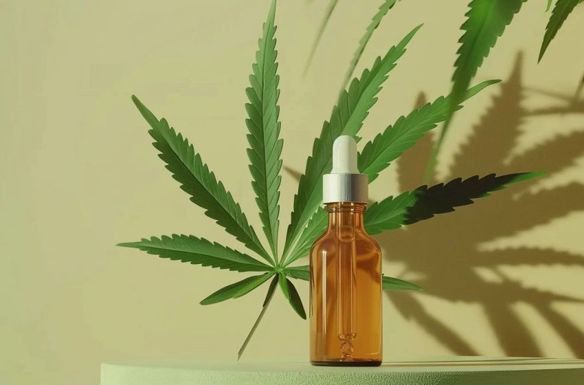 Kaip išsirinkti saugų ir patikimą CBD produktą?