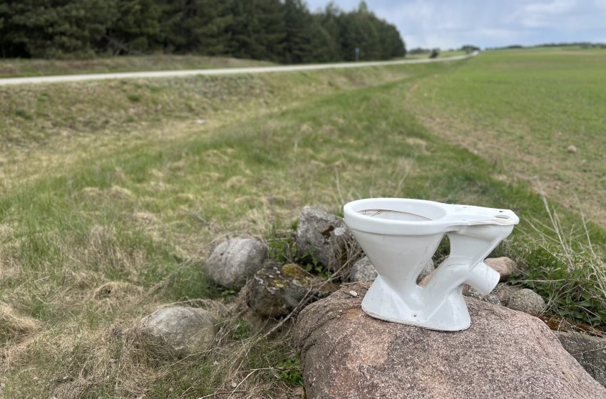 Nedzingės kelyje kaip koks paminklas puikuojasi unitazas