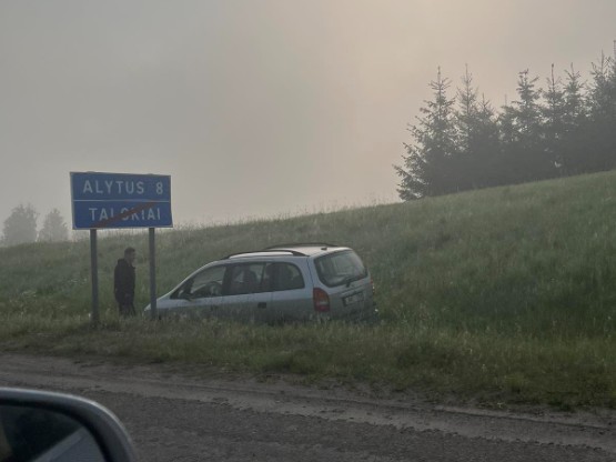 Lazdijų kelyje nuo kelio nuvažiavo Opel automobilis