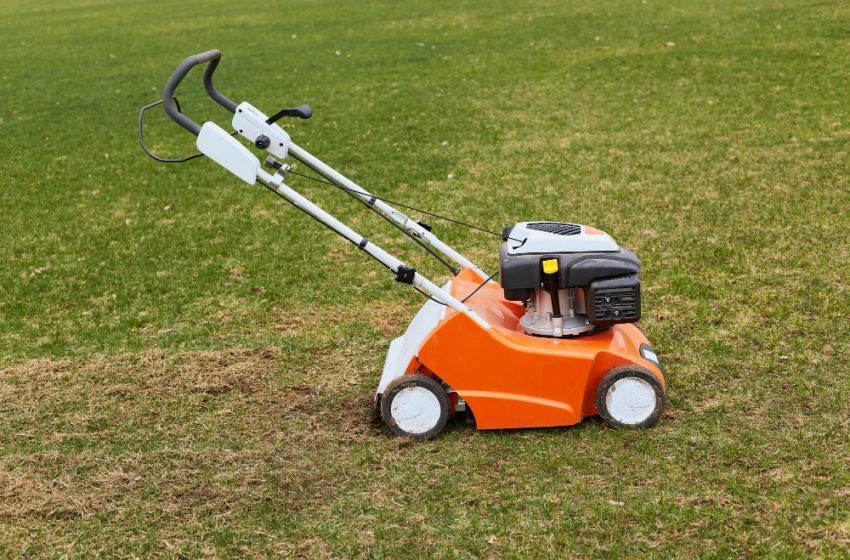  Kaip išsirinkti tinkamiausią Stihl vejapjovę?