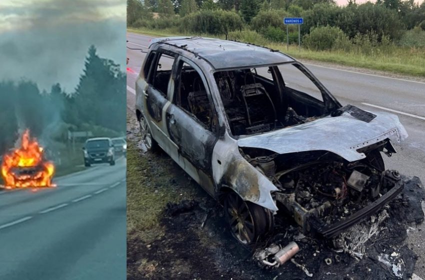 Merkinės kelyje sudegė moters vairuojama „Mazda” (foto)