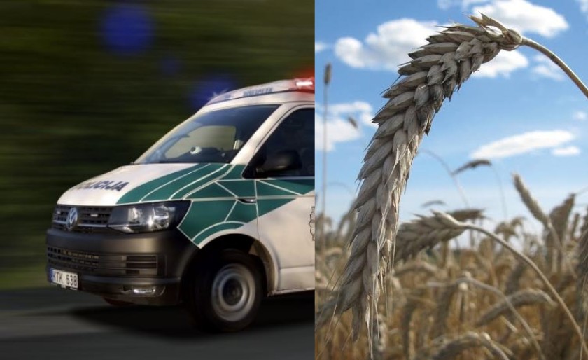  Policijos suvestinėje kurioziškas įvykis – prie Matuizų kombainu nukūlė ne savo javus?
