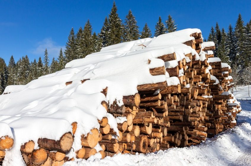  Daugų seniūnijoje iš kiemo pavogta 50 kub. metrų pušies rąstų