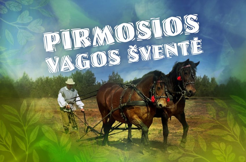  Balandžio 25 d. „Pirmosios vagos šventė” Veisiejų krašte (programa)