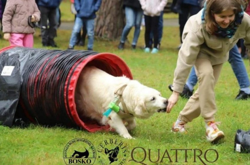  Balandžio 24-oji – Šuns diena Alytuje: kvietimas į aktyvų vakarą su augintiniais prie Gulbynės ežerėlio