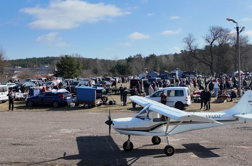  Alytaus bagažinių turgelis prieš Velykas: nuo medinių margučių iki „katės maiše“ pirkinių (video)
