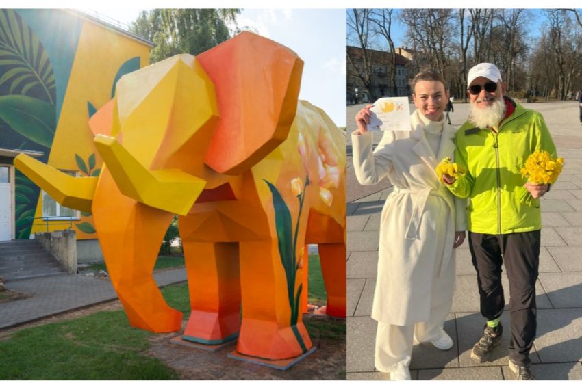  Nepaprasta dramblio kelionė: nuo meno objekto iki įtraukties simbolio