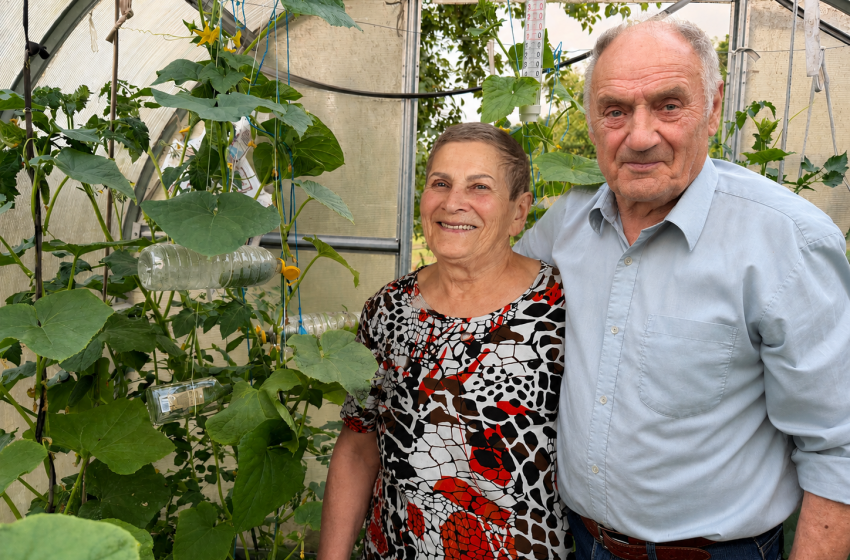  Alovės seniūnijos krašto ūkininkas Tadas Kilinskas: „Daržoves galiu auginti ir ant asfalto“