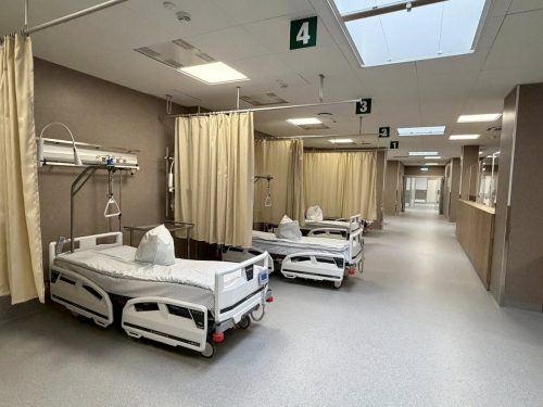 641319867 1022639734264026 2648931896837384820 n