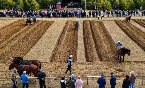 ChatGPT-Image-2026-04-26-00 01 01