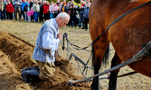 ChatGPT-Image-2026-04-26-00 05 34