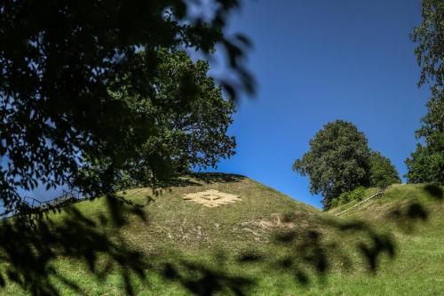 Dirbtuviu-akimirkos.-Foto-D.-Balciunaite-Svirske-5