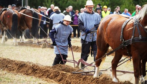 Ekrano-nuotrauka-2026-04-25-160020