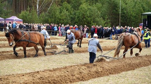 Ekrano-nuotrauka-2026-04-25-160049