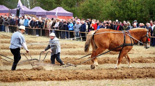 Ekrano-nuotrauka-2026-04-25-233503