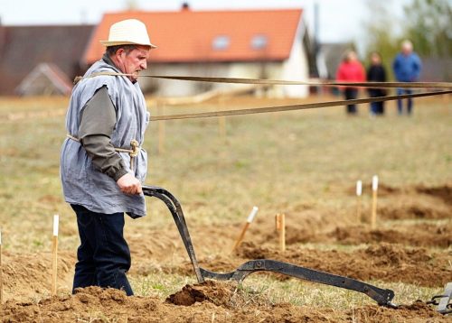 Ekrano-nuotrauka-2026-04-25-233543