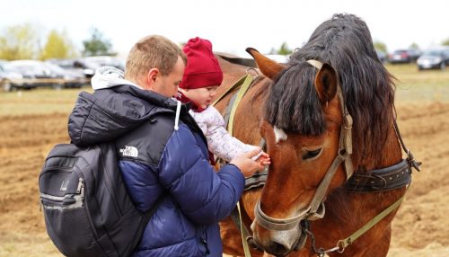 Ekrano-nuotrauka-2026-04-25-233756