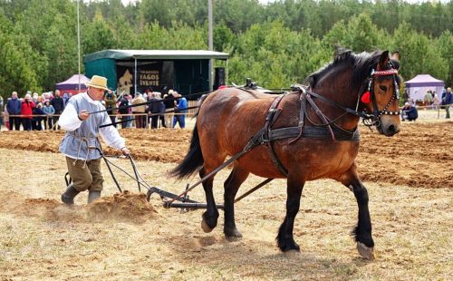 Ekrano-nuotrauka-2026-04-25-233845