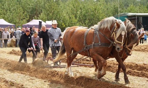 Ekrano-nuotrauka-2026-04-25-234202