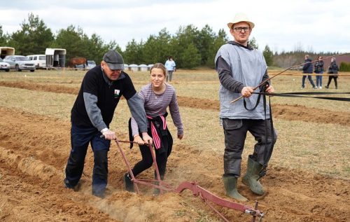 Ekrano-nuotrauka-2026-04-25-234317